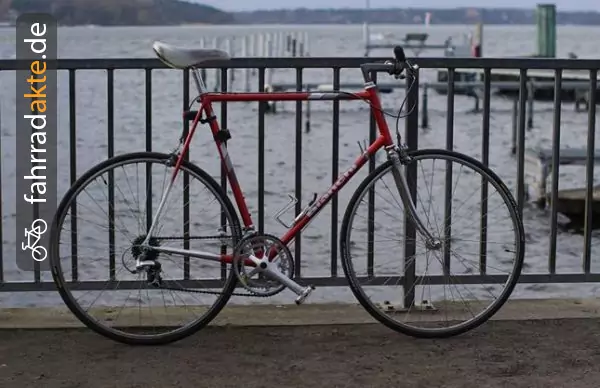 Rennrad 28"