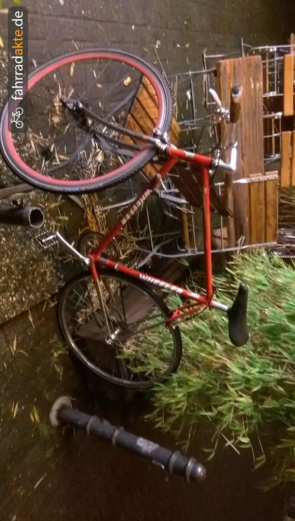 Rennrad retro