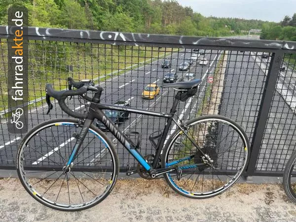 Rennrad / road bike