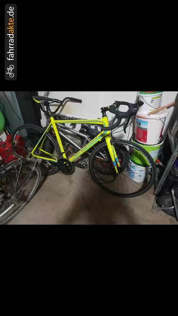 Rennrad