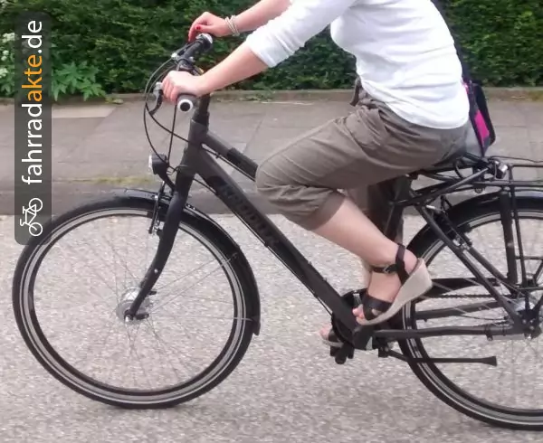 Tekking Damenrad (28") RH 50