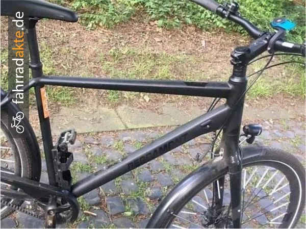 Trekkingrad Herren