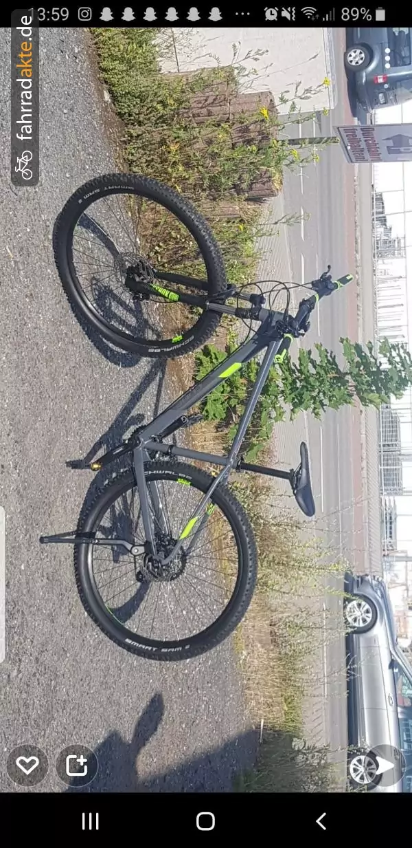 Unisexrad (17"), 29" laufräder, Hardtail