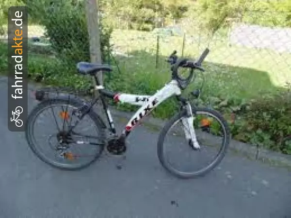 Y-­Rahmen / Allterainbike